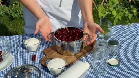 Cherry Picnic Preparation Stock Footage 313364043