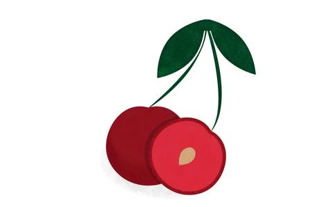 Cherry pieces with half cherry and pits Stock Illustration