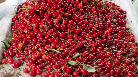 Cherry pile Stock Footage 93111975