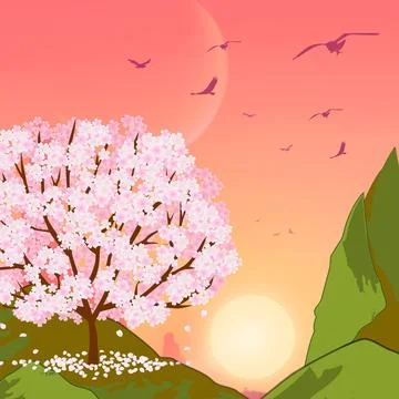 Cherry pink blossoms Stock Illustration