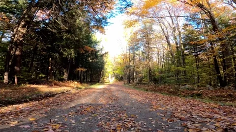 Cherry Plain Driving New York autumn colors Stock Footage 305983343