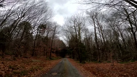 Cherry Plain New York Driving POV Stock Footage 260399091