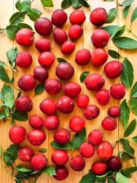 Cherry plum berries Foto stock