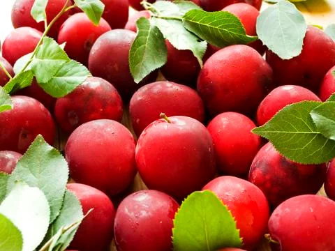 Cherry plum berries Stock Photos