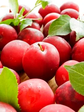 Cherry plum berries Stock Photos