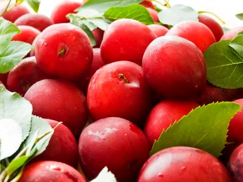 Cherry plum berries Stock Photos