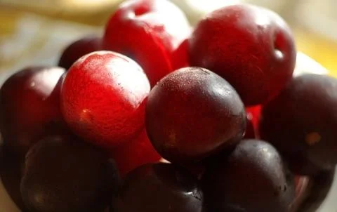 Cherry plum fruit Stock Photos