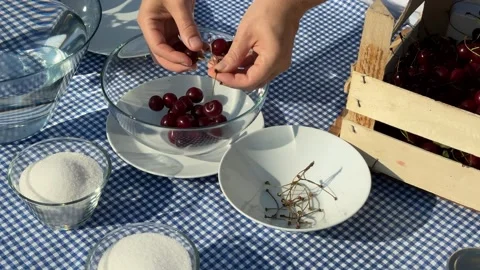 Cherry Preparation Picnic Stock Footage 313363722
