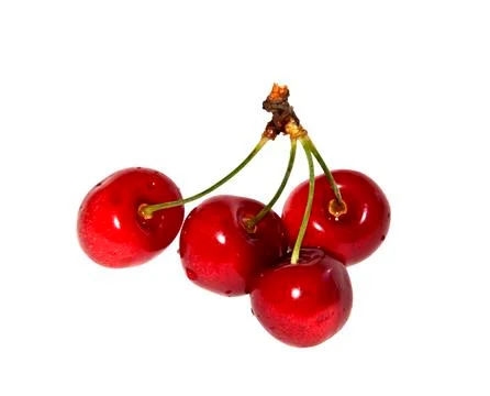 Cherry Quartet Stock Photos