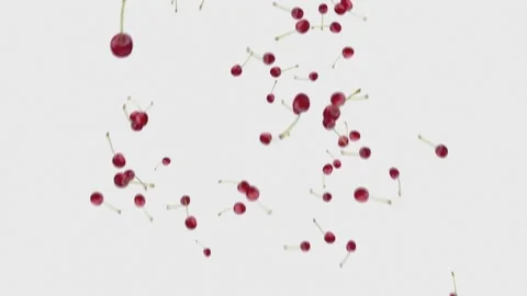 Cherry raine on white background Stock Footage 197367740