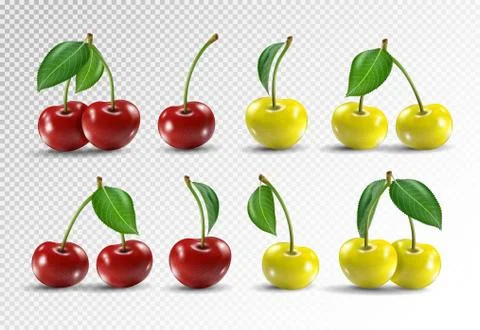 Cherry realistic fruit vector icons set. Vector illustration on transparent Stock Illustration