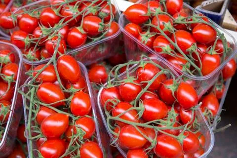 Cherry Red Tomato Background Stock Photos