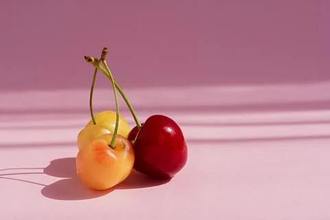 Cherry ripe on a pink background. Stock Photos
