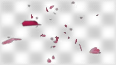 Cherry &amp; Rose Petals Falling with the Wind Stock Footage 246913486