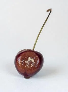 Cherry with rot isolated on a white background. Expired fruit, clay, spoiled  Stock Photos