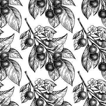 Cherry seamless pattern. Stock Illustration
