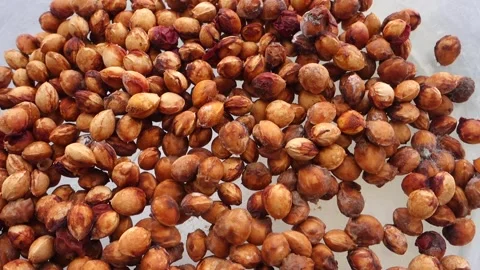 Cherry seeds, cherry seeds separated for seed, dried cherry seeds, Vídeos de archivo 205028296