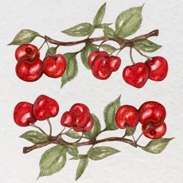 Cherry set Illustrazione stock