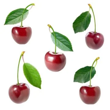 Cherry set. Stock Photos