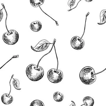 Cherry sketch pattern. Hand painted cherry berries, seamless backdrop. Stock Illustration