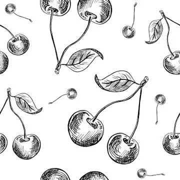 Cherry sketch pattern. Hand painted black cherry berries, seamless backdrop o Stock Illustration