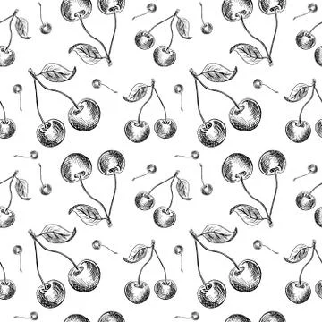 Cherry sketch pattern. Hand painted black cherry berries, seamless backdrop o Stock Illustration