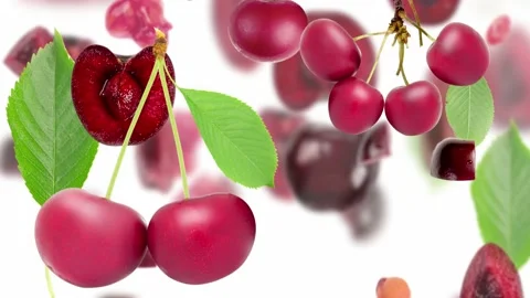 Cherry Slice and Leaf Collection Stock Footage 197108096