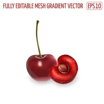 Cherry with a stem and half with pit. Stock Illustration