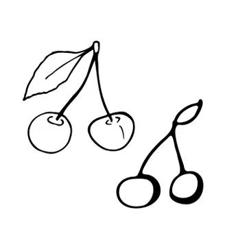 Cherry with stem and leaf. Hand drawn outline doodle. Transparent isolated Stock Illustration