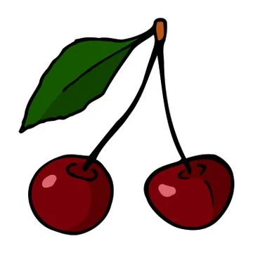 Cherry with stem and leaf. Hand drawn outline doodle icon. Colorful isolated  Stock Illustration