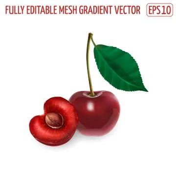 Cherry on a stem with leaf and half with pit. Stock Illustration