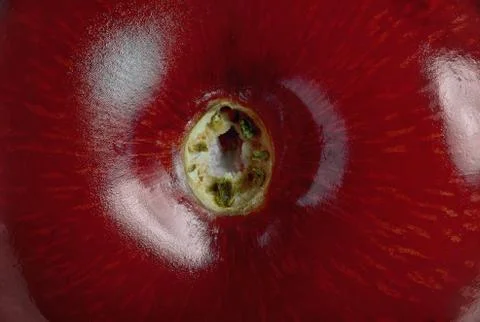 Cherry stem place super macro Stock Photos