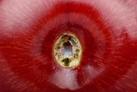 Cherry stem place super macro Stock Photos