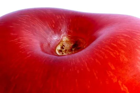 Cherry stem place super macro Stock Photos