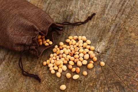 Cherry stones in a jute sack Stock Photos