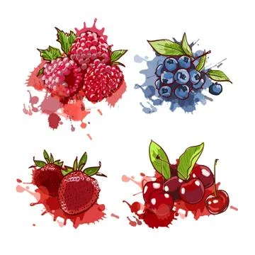 Cherry, strawberry, blueberry and raspberry on watercolor splashes and spots. Stock Illustration