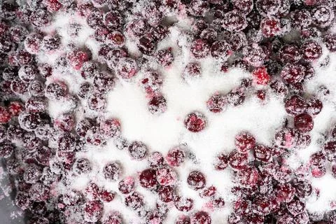 Cherry in sugar as a background or texture Stock Photos