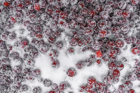 Cherry in sugar as a background Stock Photos