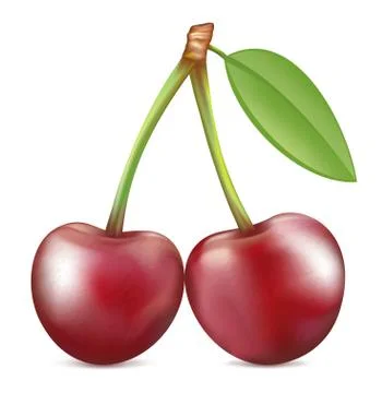 Cherry. Sweet fruit. Vector icons set. Realistic illustration Stock Illustration