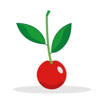 Cherry sweet ripe red berry fresh fruit Stock Illustration
