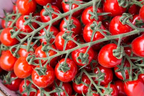 Cherry Tomato Background Stock Photos