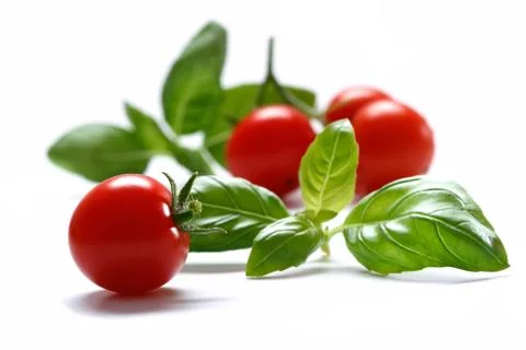 Cherry tomato with basil herb Stock Photos