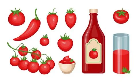 Cherry tomato. Bottle of chilli ketchup. Fresh pepper plant sauce. Green leav Illustrazione stock