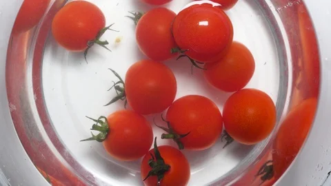 Cherry tomato Fall Into The Water Stock Footage 97289397