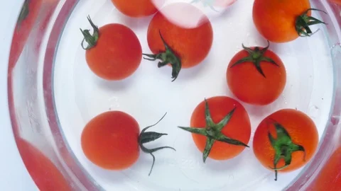 Cherry tomato Fall Into The Water Stock Footage 97289458