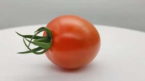 Cherry tomato Stock Footage 167460878