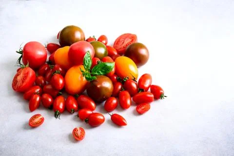 Cherry tomato on gray background with copyspace. Red, yellow and black tomatoes Stock Photos
