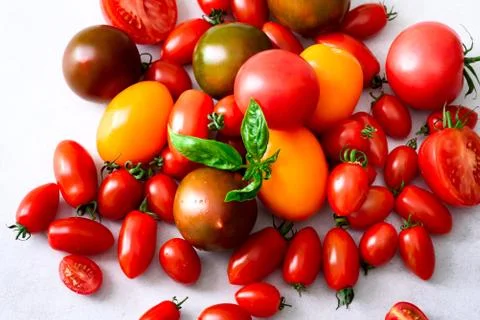 Cherry tomato on gray background with copyspace. Red, yellow and black tomatoes Stock Photos