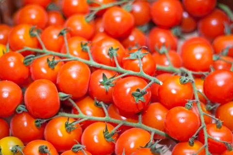 Cherry tomato Stock Photos