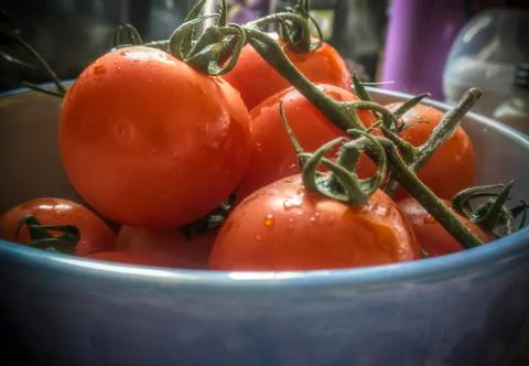 Cherry Tomato Stock Photos